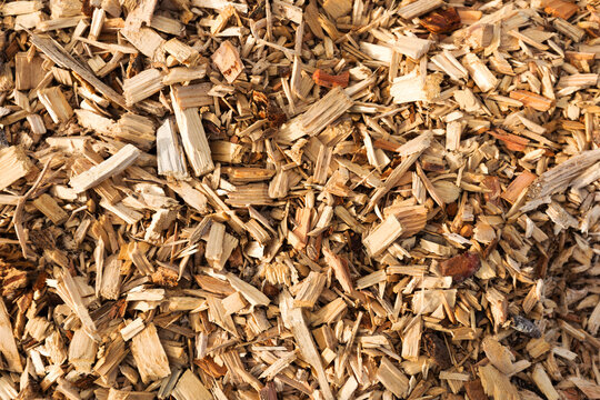 Copeaux de bois pour paillage de jardin