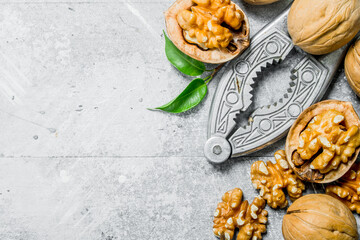 Shelled walnuts with a Nutcracker . .