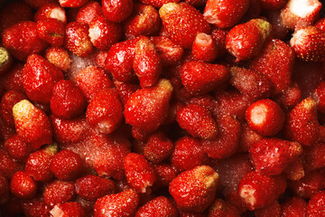 Strawberries with sugar. Food background.