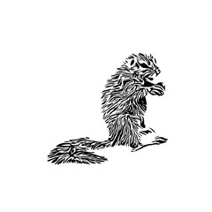 Squirrel black and white sketch with transparent background