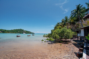 Tropical landscape with sea bay.