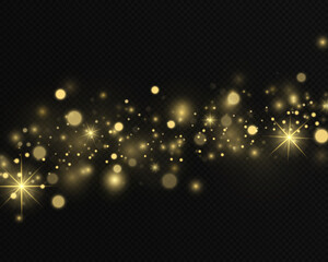 Luminous magic dust particles. Christmas concept. The dust sparks and golden stars shine with special light on a black transparent background.