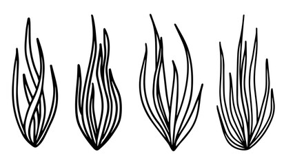Line art set of plants herbs line for decorative design.