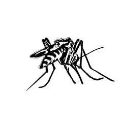 black and white sketch of a mosquito with a transparent background