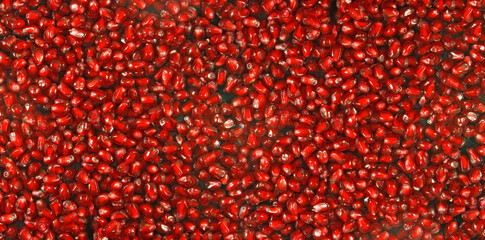 Fresh pomegranate seeds. Delicious  ripe juicy pomegranate seed background texture