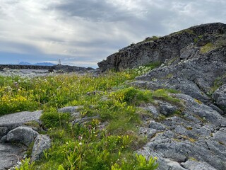 Amazing rocky ocean bay, rocky coast, huge stones, seascape, cloudy sky, Nordic seascape