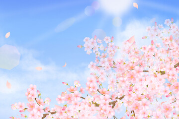 美しく華やかな桜の花と花びら舞い散る春の爽やか青空に光差し込む雲のフレーム背景 素材イラスト