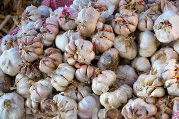 Garlic cloves for sale in a street market in Porto, Portugal