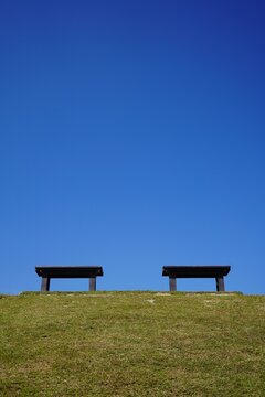 bench in the park