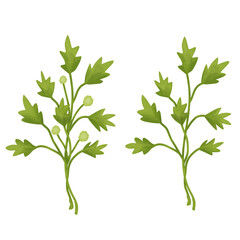 Greenery element vector set isolated on a white background. Floral, green plant, element of green plant.