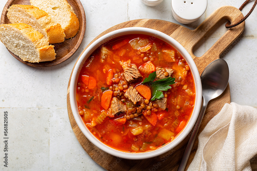 Poster Beef Vegetable Soup with Lentils. Main ingredients are meat, carrot, onion, cellery, potato, tomato and parsley. White background.