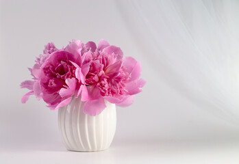 Pink peonies in a vase on a light background. Congratulations on Valentine's Day. Copy space