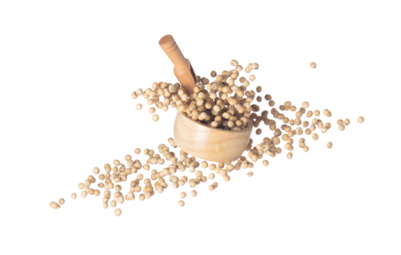 Peanut flying in sack bag, brown grain peanuts throw abstract float. Beautiful complete seed pea peanut sack bag splash in air, food object design. White background isolated high speed shutter freeze