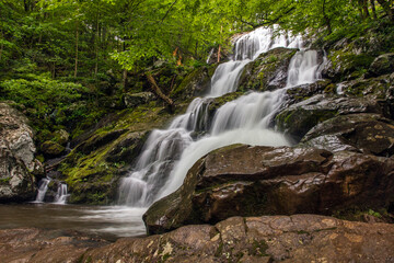 Fototapeta na wymiar Beautiful Dark Hollow Falls in Shenandoah National Park, Virginia USA.