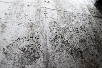 A lot of Black mold fungus growing on the wall at home. Dampness problem concept. Condensation on...