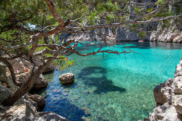 Paysage des calanques dans le sud de la France eau turquoise avec pin parasol et eau claire en plein été 