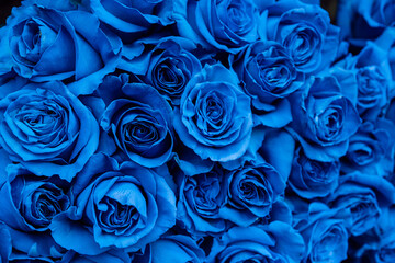 Fototapeta na wymiar bouquet of blue roses, blue roses background