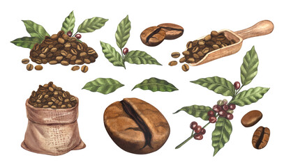 Watercolor set brown roasted coffee beans in burlap sack, red arabica beans on branch with berries, with scoop with grains in bag and bowl. Hand-drawn illustration isolated on white background
