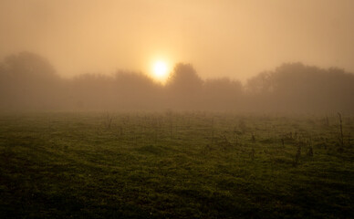 wschód słońca i mgła
