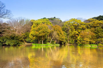 Japanese garden in the surroundings of Tsurugaoka Hachimangu Shrine, Kamakura, Kanagawa Prefecture, Greater Tokyo Area, Japan