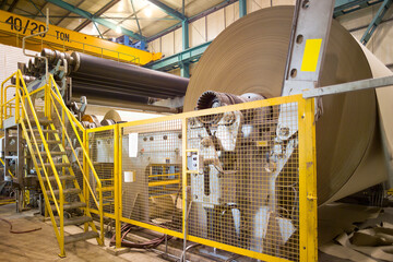 Big rolls of cardboard and paper coming out of the machinery in a paper mill plant in Chile. © Jose Luis Stephens