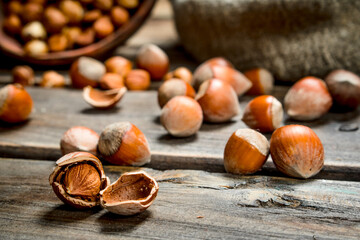 Hazelnuts in the shell.