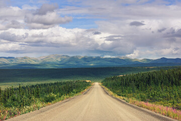 Road in Alaska