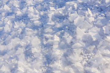 Frosty pattern, snow pattern, hoarfrost. Background texture, abstract pattern, winter.