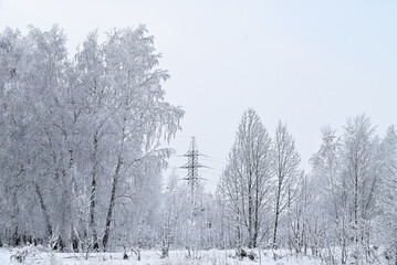winter forest in frost, house in winter forest, frosty day