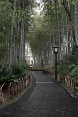 修善寺の小径　竹林
