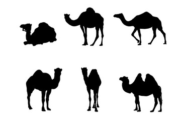 Set of silhouettes of camels vector design