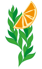 Fototapeta na wymiar Green leaves flower with orange fruit citrus icon fresh natural healthy eco