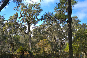 Bonaventure Cemetery is a rural cemetery located on a scenic bluff of the Wilmington River, east of Savannah, Georgia.[