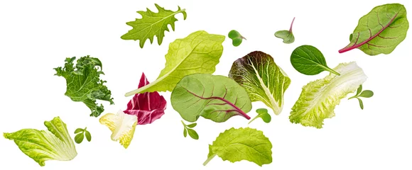 Poster Falling salad leaves isolated on white background with clipping path © xamtiw