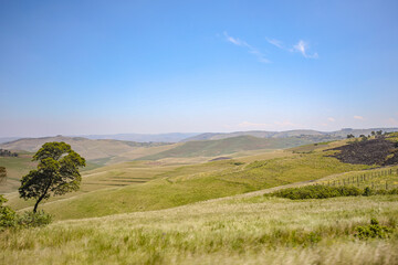 South African Prairie Life