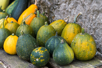 ripe zucchini on the wooden bench