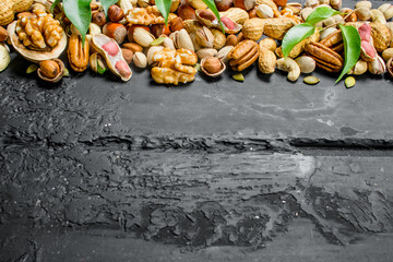 Nuts background. Different kinds of nuts with leaves.