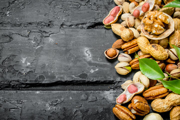 Nuts background. Different kinds of nuts with leaves.
