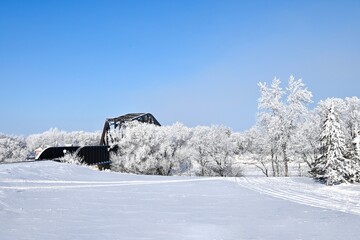 a railway bridge hidden by frost covered trees