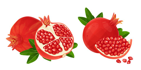 Ripe juicy pomegranate. Cuted Fruit with green leaves. Natural Isolated white background. EPS10 vector illustration.