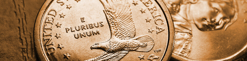 American coins close-up lie on dark surface of table. Soaring eagle Sacagawea dollar coin. US economy and money. Brown tinted banner or headline. USA public debt and treasury. Golden dollar. Macro