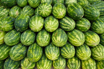 Watermelon (Citrullus lanatus) is a flowering plant species of the Cucurbitaceae family and the name of its edible fruit. Fruit and Vegetable Market, Manaus - Amazonas, Brazil.