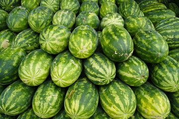 Watermelon (Citrullus lanatus) is a flowering plant species of the Cucurbitaceae family and the name of its edible fruit. Fruit and Vegetable Market, Manaus - Amazonas, Brazil.