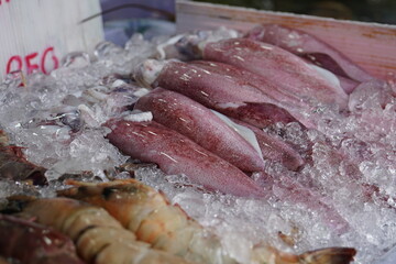 Red fish