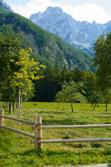 Fototapeta na wymiar mountain side - logar valley Slovenia