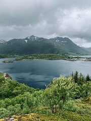 Obraz premium Fjords coastline, ocean bay coastline, cloudy foggy sky