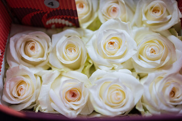 bouquet of roses close up texture background.