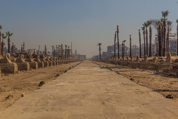 Fototapeta na wymiar Avenue of Sphinxes in Luxor, Egypt