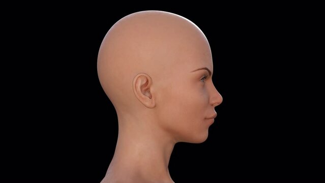 3d render of a spinning female head on a black background. Alpha channel.