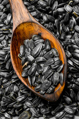 Sunflower seeds with a wooden spoon.